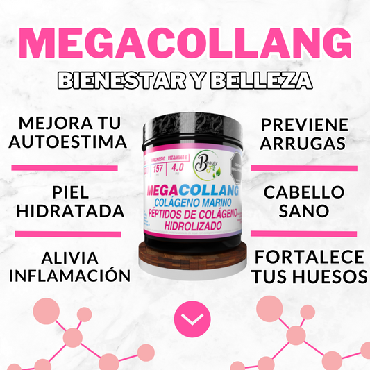 MEGACOLLANG X500GR FITOVIT